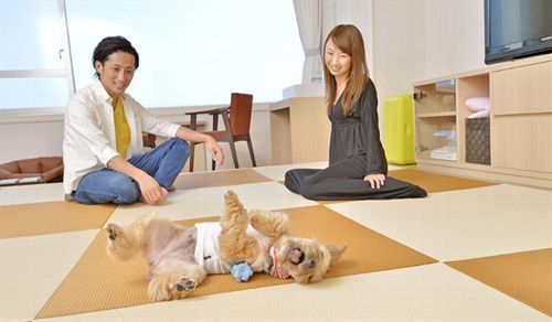 Shirahama Ocean Ryokan 3*